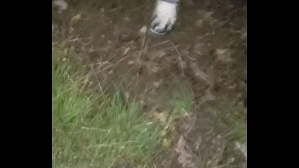 Play MP4 - Milf wanted a creampie outside