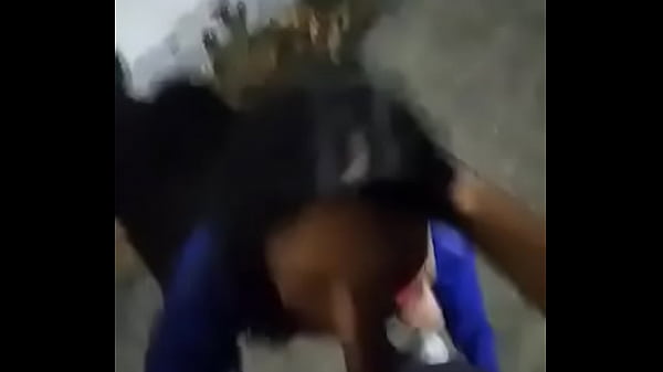 Play MP4 - Zorra de bar