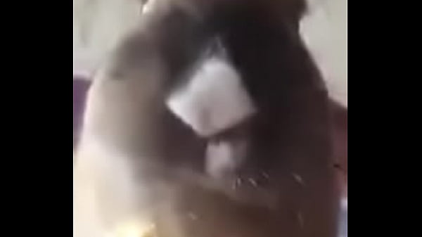 Día del platano full HD conejita_come platano