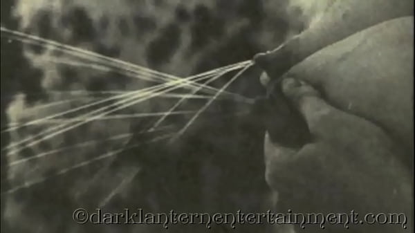 Dark Lantern Entertainment Presents, 'Postcards From My_step Mother'