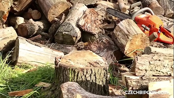 Play MP4 - Bisexual experiment