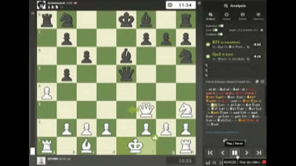 Coolest video about chess ever 