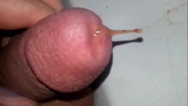 Furtender schwanz wegen kohlens&auml;ure insertion  Prev1...4647484950515253545556575859606162...112Next SEXBOKEP adalah Website Bokep Indonesia Terbaru dan Terlengkap Gratis dimana Anda dapat menonton streaming video bokep dan download vidio bokep terbaru yang sedang viral dengan aplikasi bokep android, Aplikasi bokep free download simontok app terbaru 2026 for PC Mobile Online dan HP     Contact Us   DMCA   Disclamer   Privacy and Policy   Conditions of Use  &copy; 2026 SEXBOKEP All rights reserved